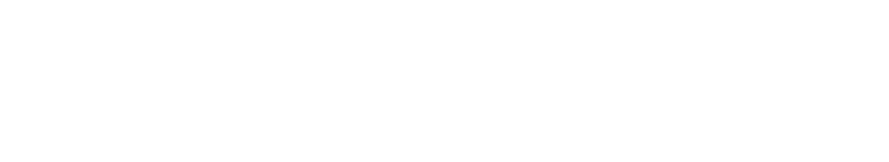Actoracer – The Racing Simulator